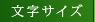 文字サイズ