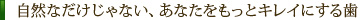 自然なだけじゃない、あなたをもっとキレイにする歯